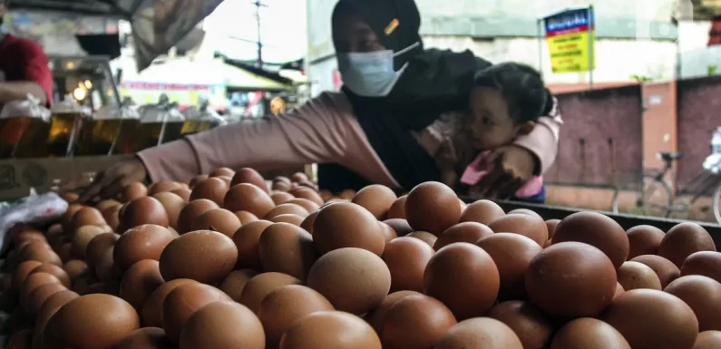 Kenaikan Harga Telur Ayam: Wakil Menteri Perdagangan Menegaskan Stabilitas dan Ketersediaan Stok