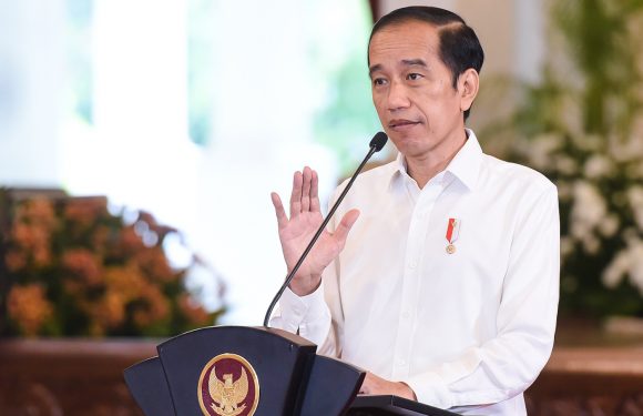 Hadapi Ancaman dan Intimidasi: Kendali Saham Freeport Berhasil Diraih Presiden Jokowi?