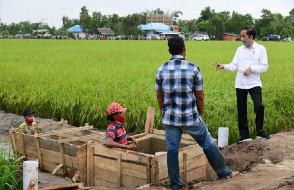 Sri Mulyani: Food Estate sebagai Solusi Kesejahteraan Petani dan Dampak Perubahan Iklim