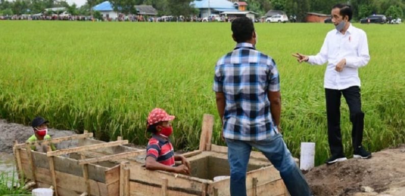 Sri Mulyani: Food Estate sebagai Solusi Kesejahteraan Petani dan Dampak Perubahan Iklim