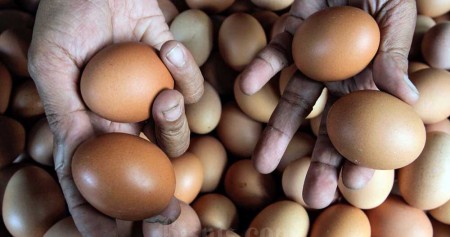 Program Bantuan Sosial Pangan Rp8 Triliun: Daging Ayam dan Telur Untuk Atasi Stunting