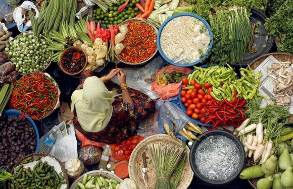 Pencegahan Inflasi Pangan, Kepala Daerah Diminta Aktif Terlibat dalam Produksi Pangan Lokal!